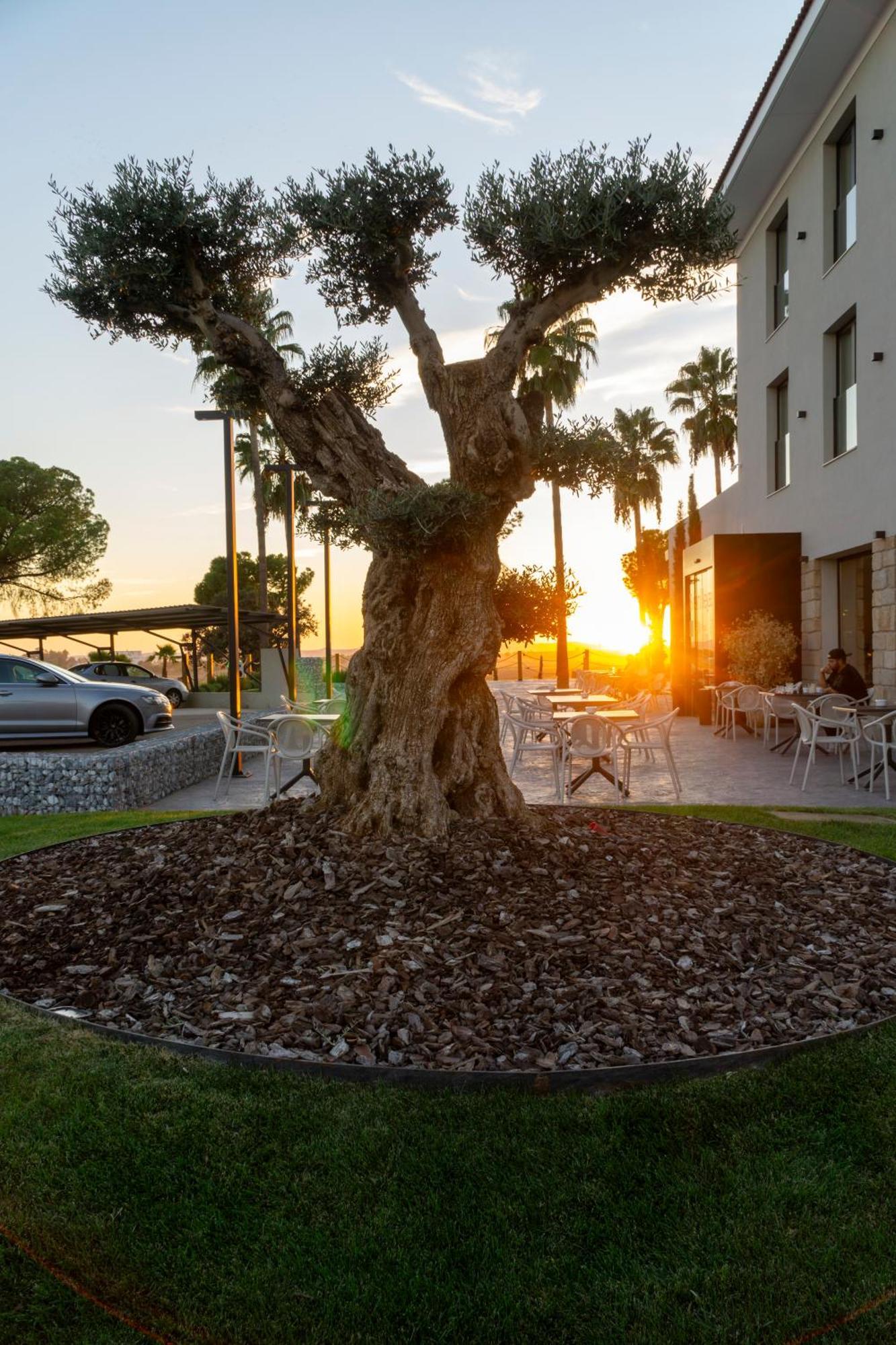 Hotel Rural Finca La Desa Miajadas Eksteriør bilde